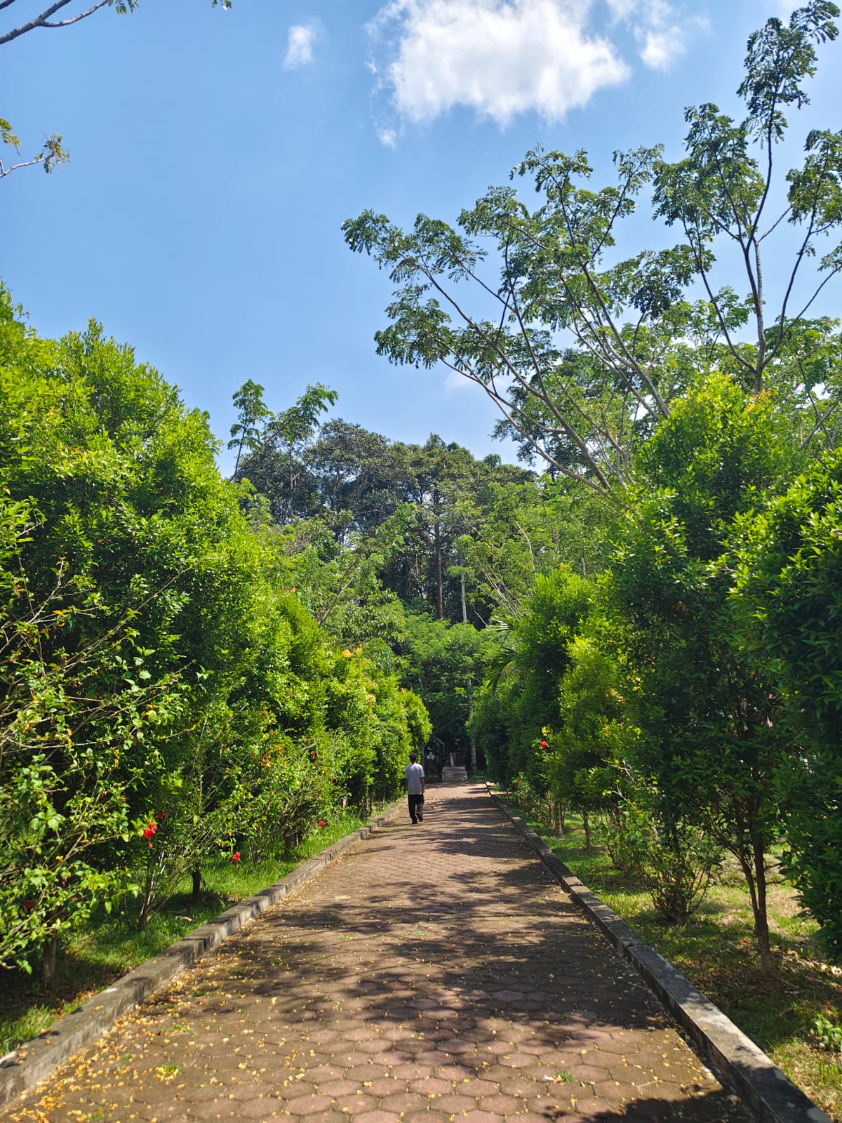 Keling Kumang Agrowisata