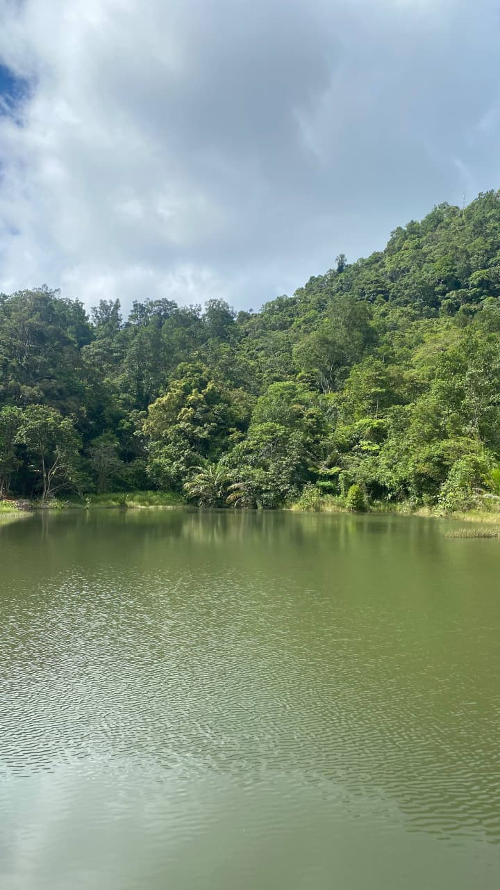 Danau Bukit Luit