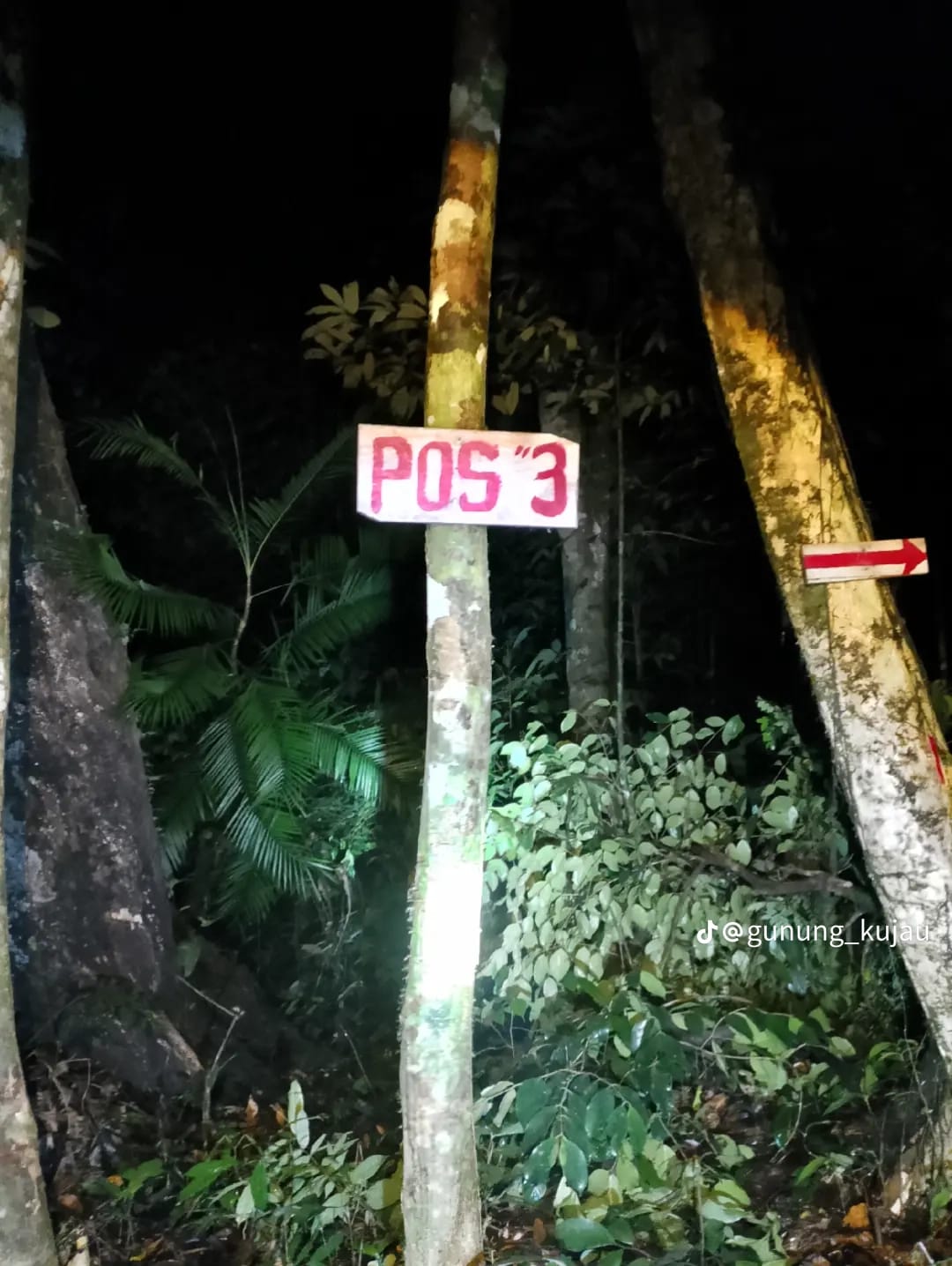 Bukit Kujau