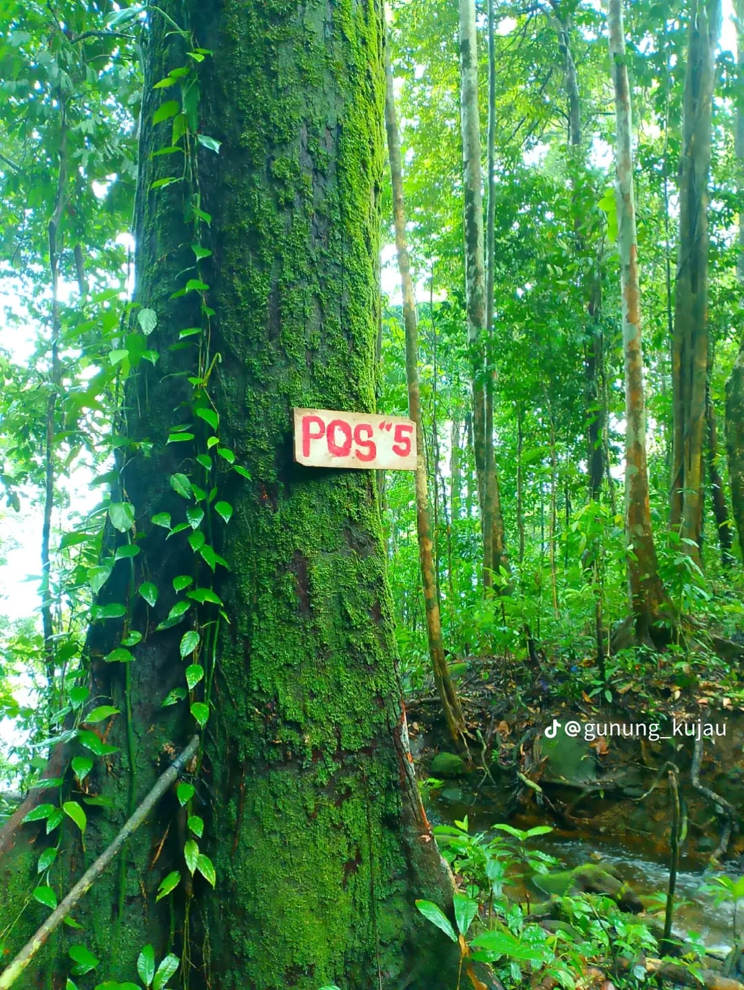 Bukit Kujau