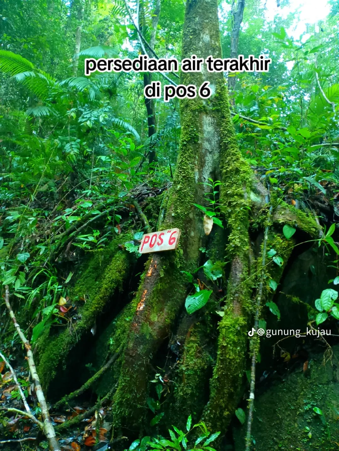 Bukit Kujau