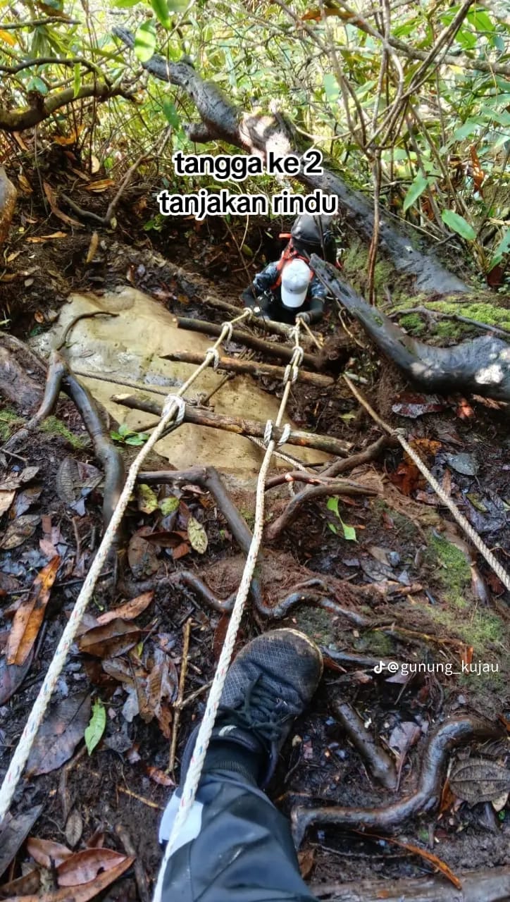 Bukit Kujau