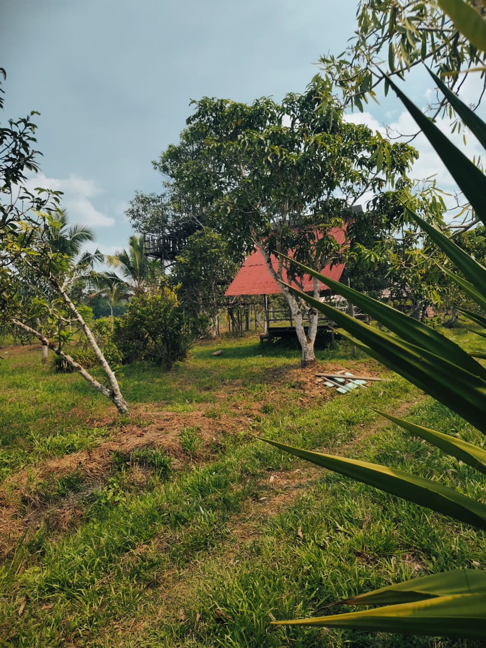 Kebun Jambu Kristal