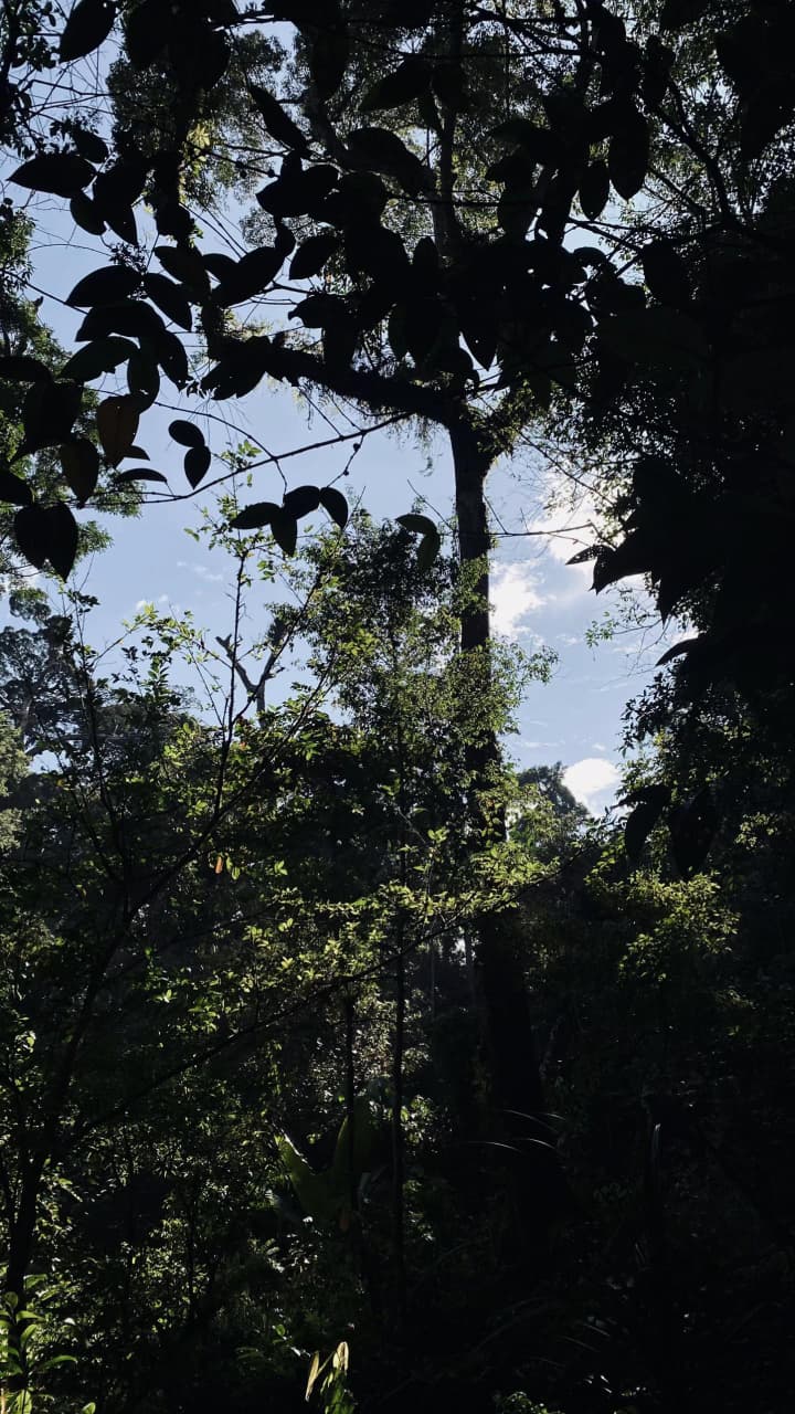 Batu Ninin Waterfall