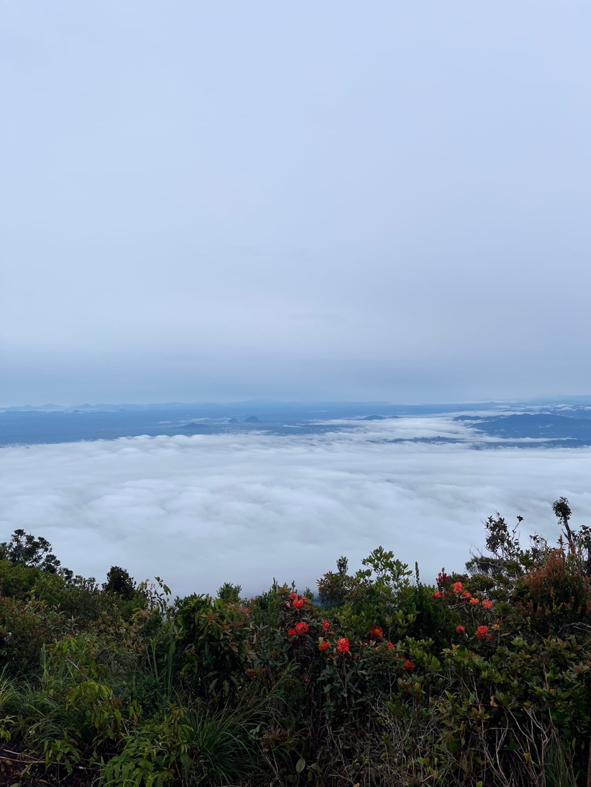 Bukit Saran